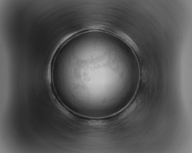 X0000100481036200806131226
