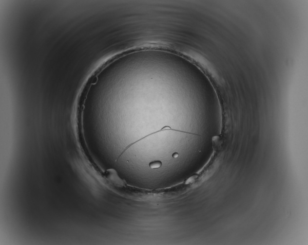 X0000100481038200806131226