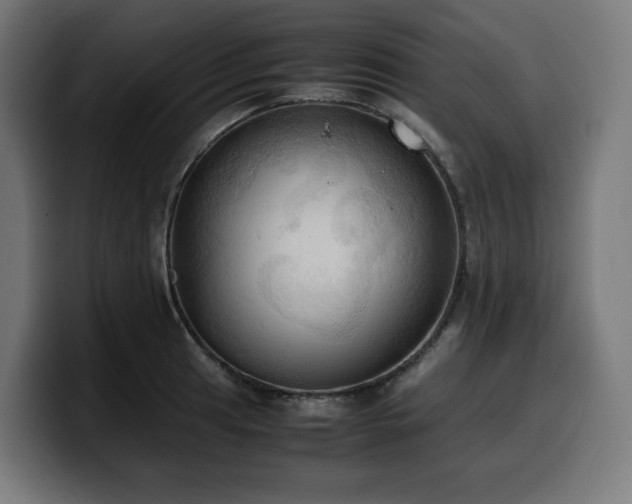 X0000100481041200806131226