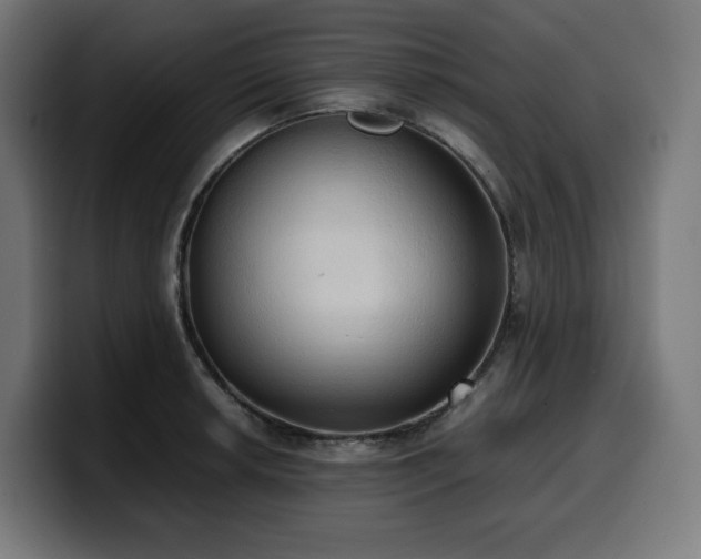 X0000100481042200806131226