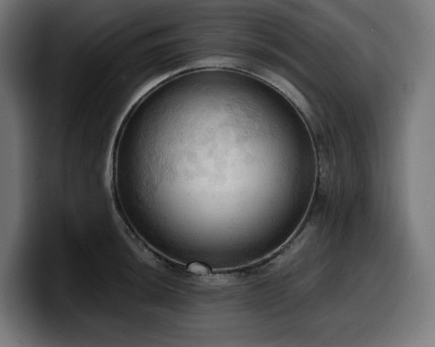 X0000100481044200806131226
