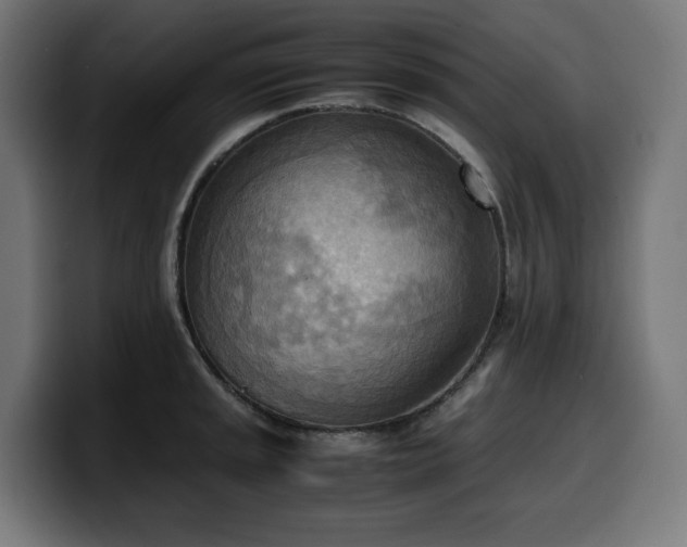 X0000100481045200806131226