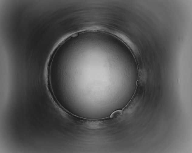 X0000100481046200806131226