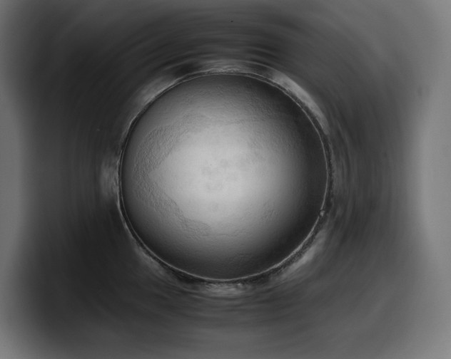 X0000100481049200806131226