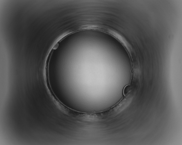 X0000100481050200806131226