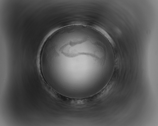 X0000100481051200806131226