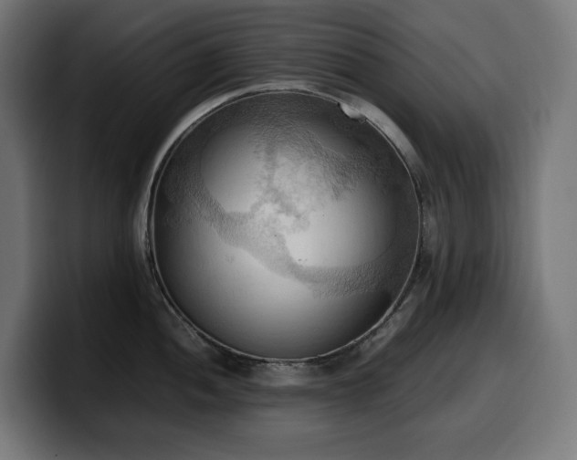 X0000100481052200806131226