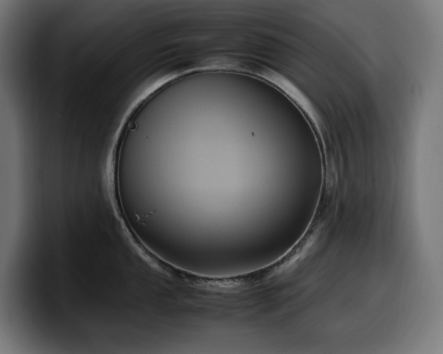 X0000100481053200806131226