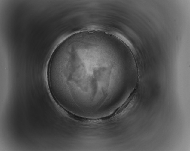 X0000100481055200806131226