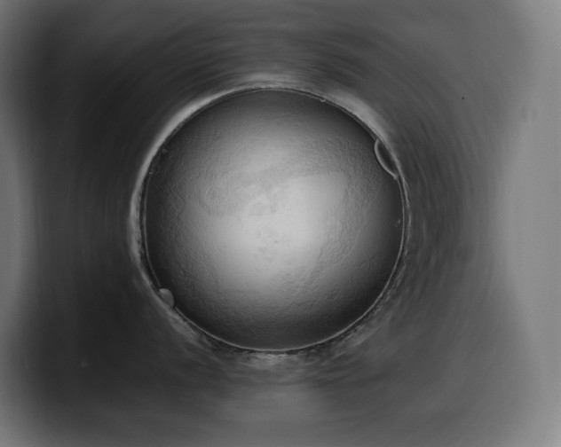 X0000100481056200806131226