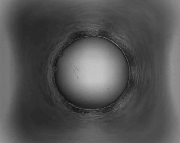 X0000100481057200806131225