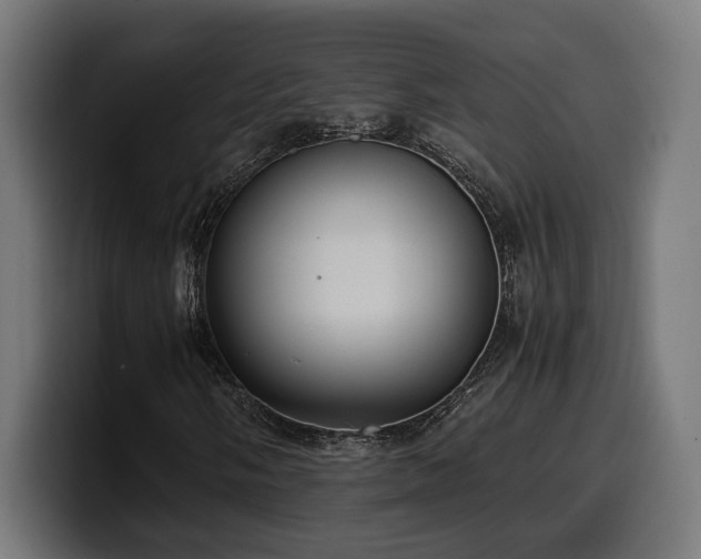 X0000100481058200806131225