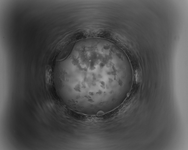 X0000100481059200806131225