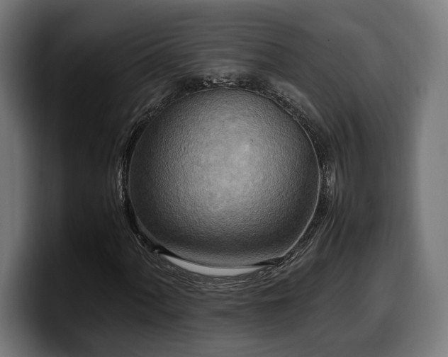 X0000100481060200806131225