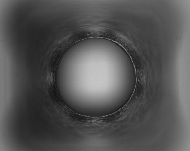 X0000100481061200806131225