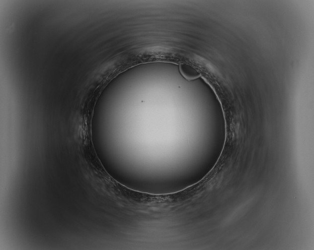 X0000100481062200806131225