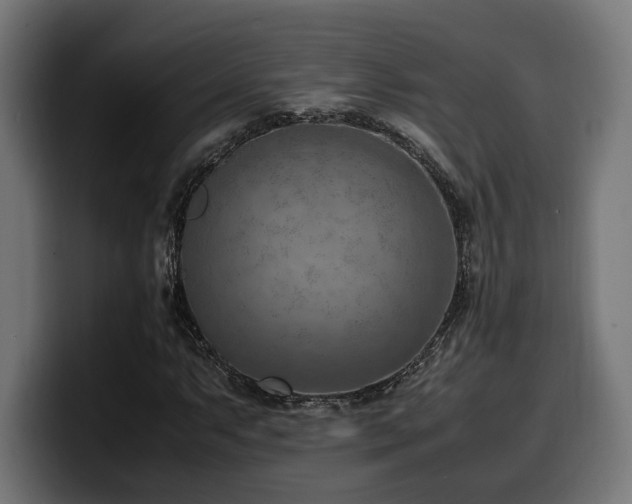 X0000100481063200806131225