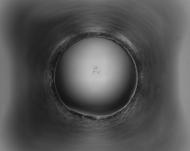X0000100481064200806131225