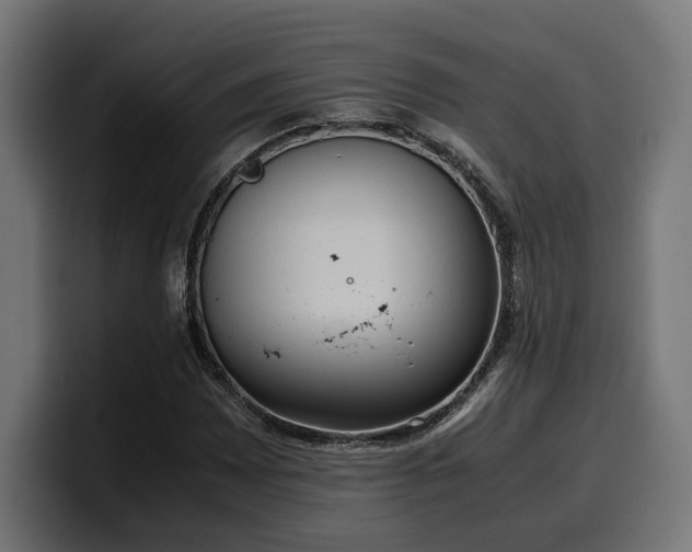 X0000100481065200806131225