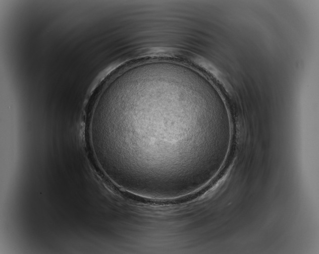 X0000100481066200806131225