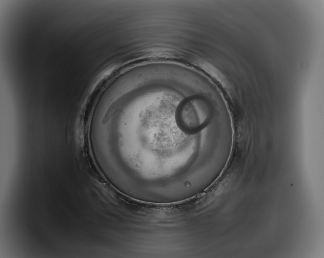 X0000100481067200806131225