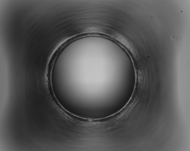 X0000100481068200806131225