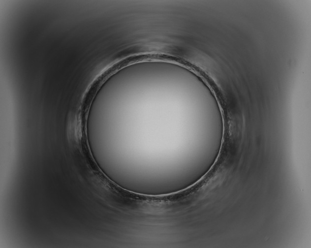 X0000100481069200806131225