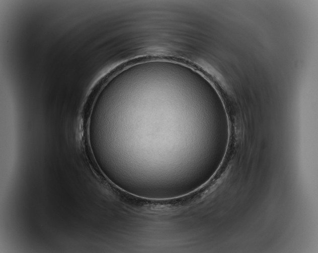 X0000100481070200806131225