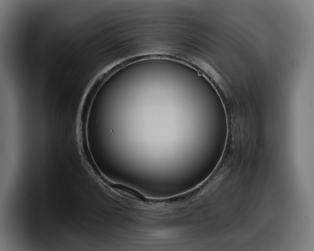 X0000100481072200806131225