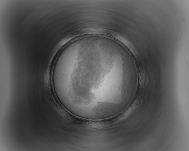X0000100481074200806131225
