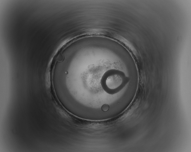 X0000100481075200806131225