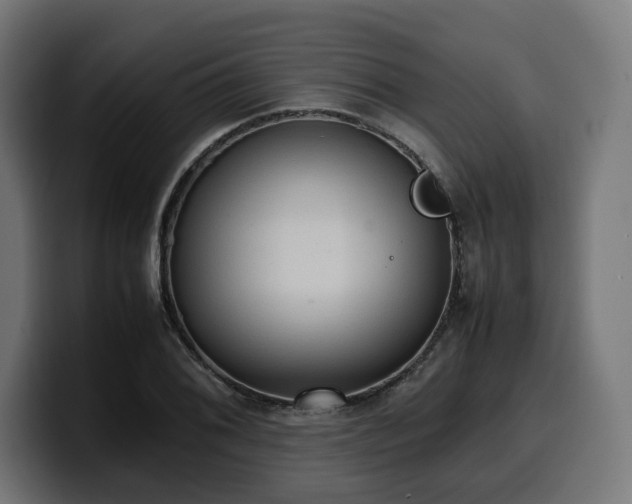 X0000100481076200806131225