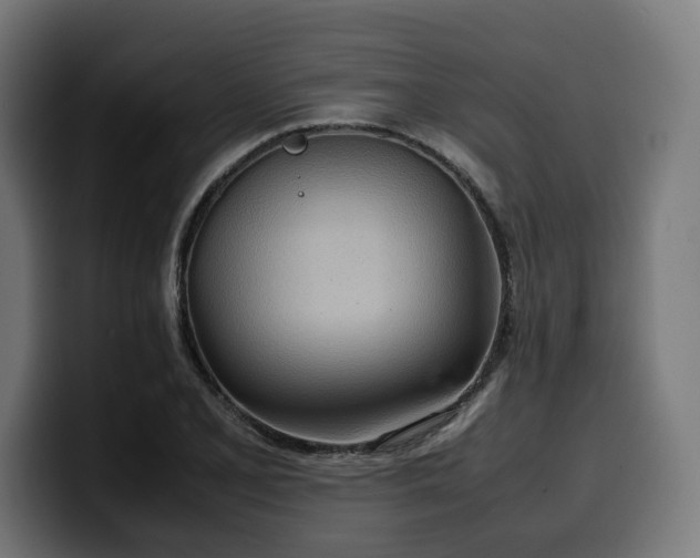 X0000100481077200806131225