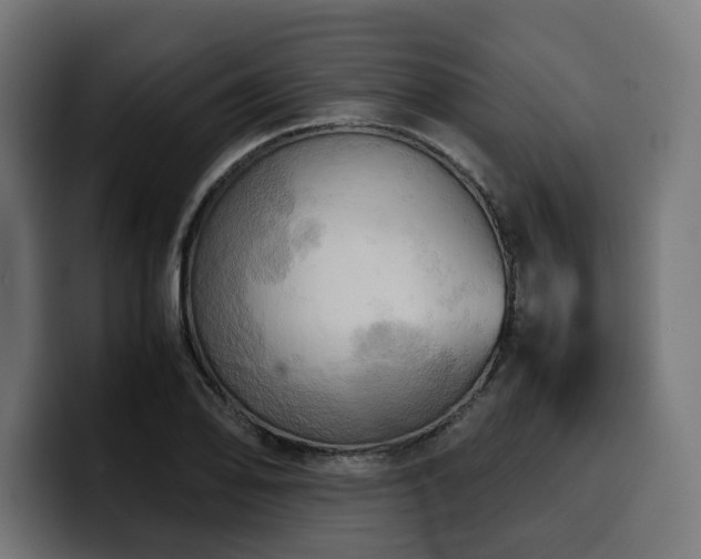 X0000100481078200806131225