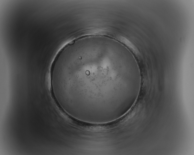 X0000100481079200806131225