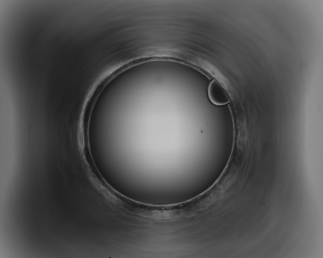 X0000100481080200806131225