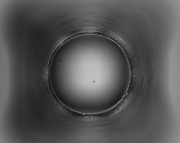 X0000100481081200806131225