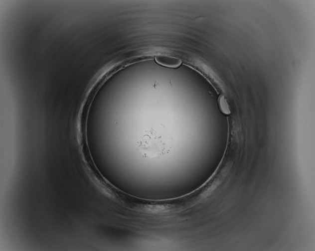 X0000100481082200806131225