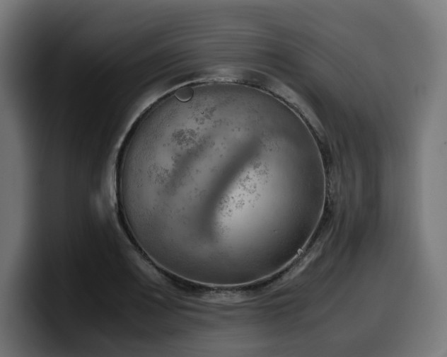 X0000100481083200806131225