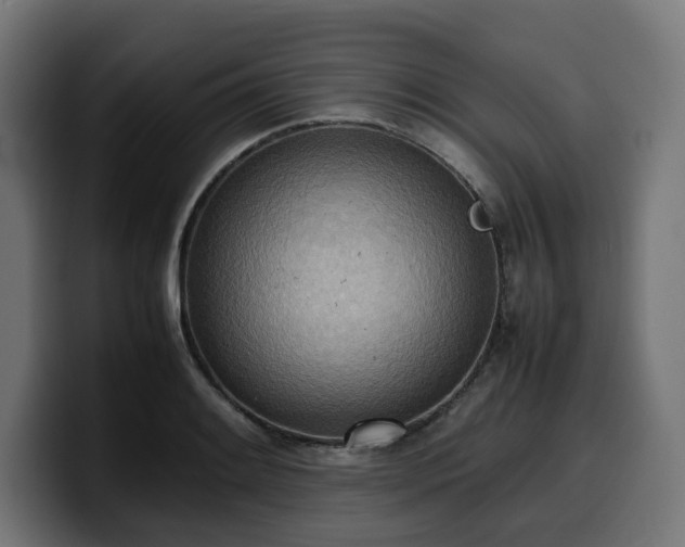 X0000100481084200806131225
