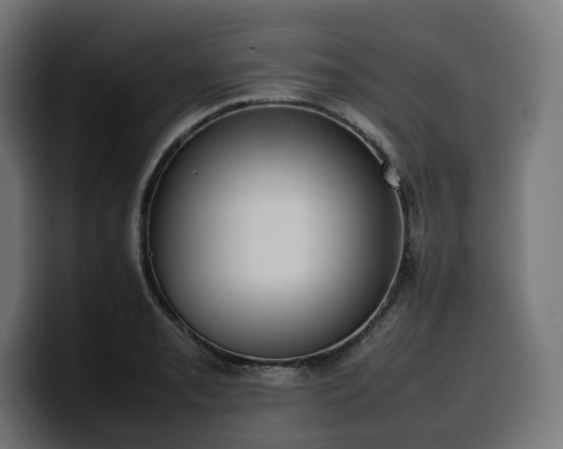 X0000100481085200806131225