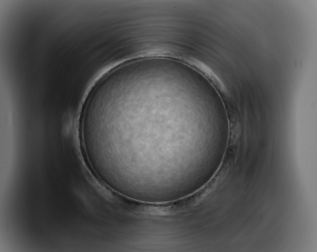 X0000100481086200806131225