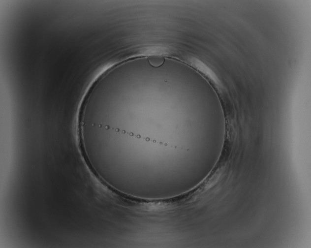 X0000100481087200806131225