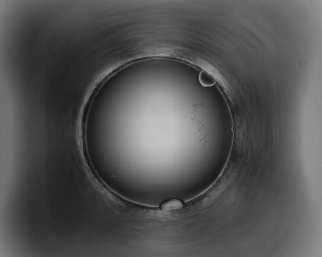 X0000100481088200806131225