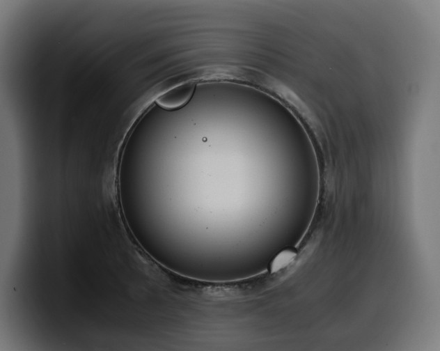X0000100481089200806131225