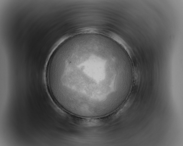 X0000100481090200806131225