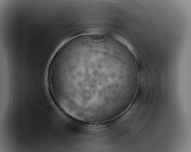 X0000100481091200806131225