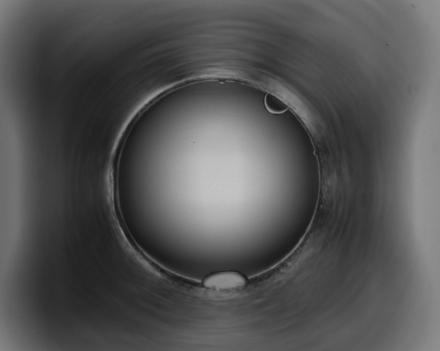 X0000100481092200806131225