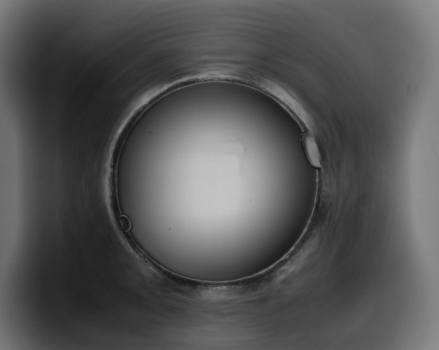 X0000100481093200806131225