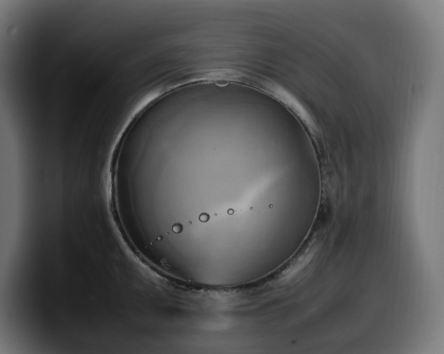 X0000100481095200806131225